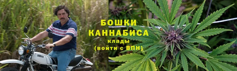 Бошки Шишки планчик  сколько стоит  Казань 